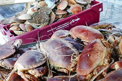 Case bifamiliari, St Quay-Portrieux
