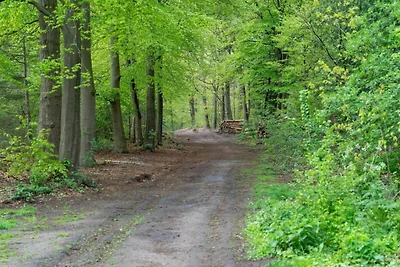 Ferienhaus Voorthuizen bei De Veluwe