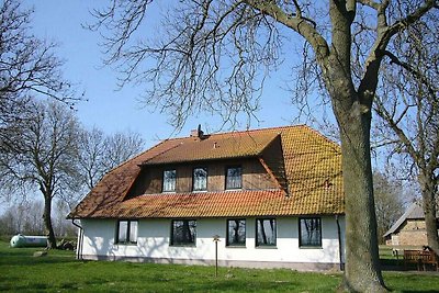 Fünfschläfer Komfortable Ferienresidenz