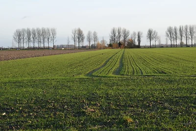 Ferienhaus in Schoondijke