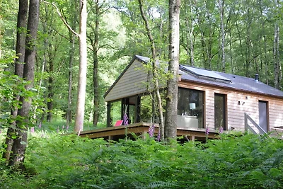Chalet moderno situato nel bosco