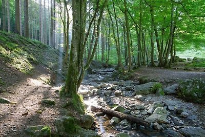 Tenda glamping nel cuore delle Ardenne