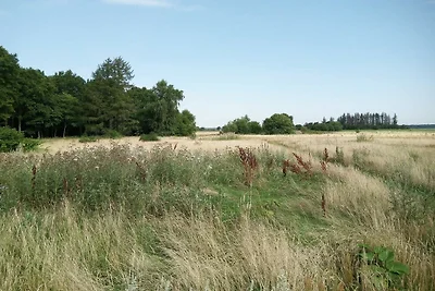 6 Personen Ferienhaus in Sæby-By Traum