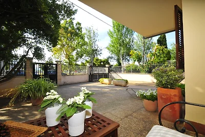 Accogliente casa vacanze ad Alcudia con...