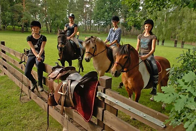 Seepark Heidenholz, Plau am See