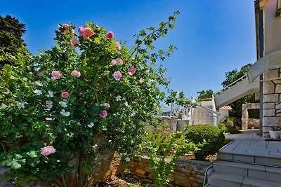 Charming and Sunny Hvar Apartments - Comfort ...
