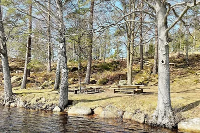 4 person holiday home in Holmsjö-By Traum