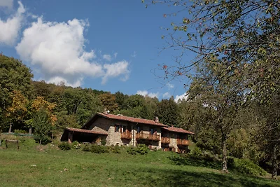 Appartamento a Netro con bosco