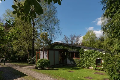 Gemütliches Ferienhaus in Waimes mit...