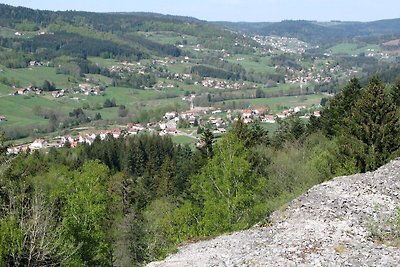 Schönes Chalet in Le Ménil mit eigenem Garten