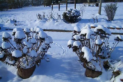 Eingeschossiger Bungalow mit Südterrasse