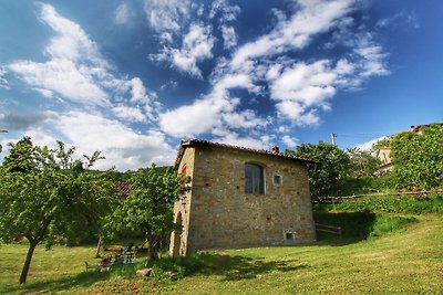 Gemütliches Ferienhaus in Rufina mit...