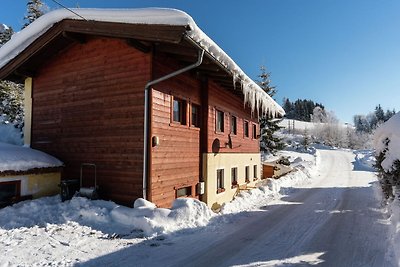 Geräumiges Ferienhaus in Skigebietsnähe in...