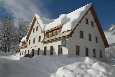 Wohnung in der Nähe von Skipisten