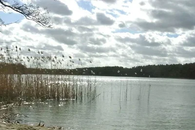 Ferienhaus mit 1 Schlafzimmer
