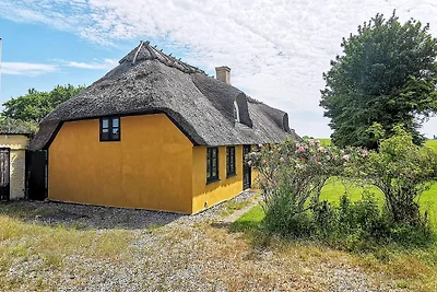 6 Personen Ferienhaus in Rudkøbing
