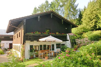 Gemütliches Ferienhaus mit Terrasse in...