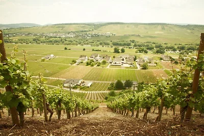 Mit Balkon Weingut Mathy-Schanz