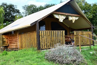 Luxe tent op boerderij met zwembad