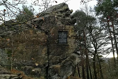 Geräumige Wohnung im Harz nahe Skigebiet