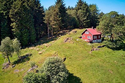 6 persoons vakantie huis in FINNÅS-By Traum