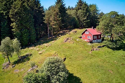 6 Personen Ferienhaus in FINNÅS-By Traum