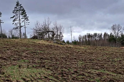 4 Personen Ferienhaus in VETLANDA-By Traum
