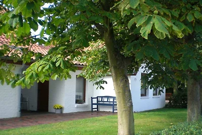 Ferienhaus mit 2 Schlafzimmer