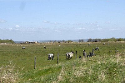 4 Personen Ferienhaus in Fanø