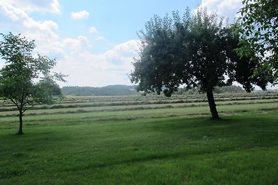 Appartamento con terrazza a Kleinwinklarn
