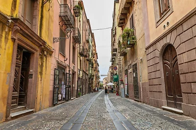 Directe omgeving (zomer) (<1 km) Directe omgeving (zomer) (<1 km)