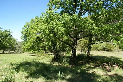 Incantevole casa nel bosco con piscina...