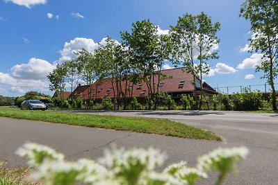 Schönes Ferienhaus in Oostkapelle mit Garten