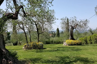 Appartamento a Castelfiorentino con piscina