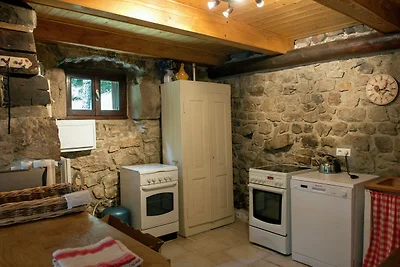Caratteristica villa in Ardeche con camino
