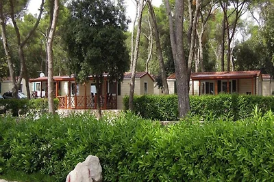 Mobilheime im Caravanpark Soline in Biograd