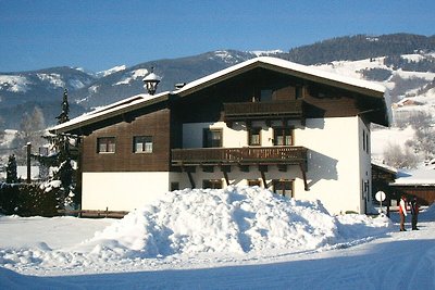 Ruim appartement nabij skigebied