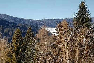 Ferienwohnung mit 1 Schlafzimmer