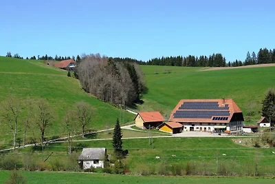Ferienhaus mit Terrasse im Schwarzwald