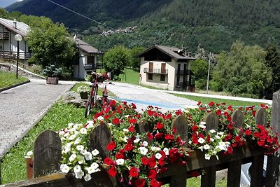 Angenehme Wohnung im Val di Sole mit Balkon
