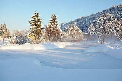 Optimal gelegenes Chalet mit Sauna