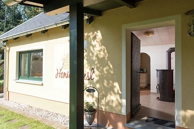 Wohnung in Sachsen mit Terrasse