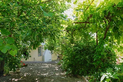 Casa vacanze isolata a Kalavrouza con vista s...