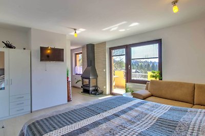 Schönes Appartement mit Kamin in Bled