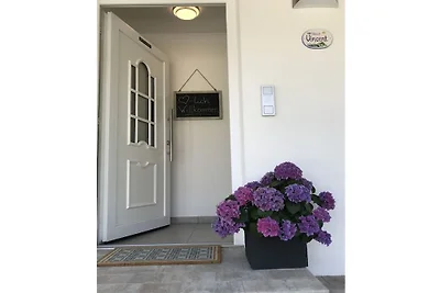 Apartament wakacyjny z 1 sypialnią