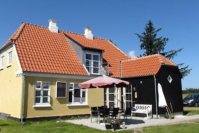 Geräumiges Ferienhaus in Skagen mit Terrasse