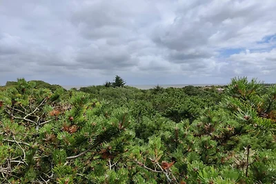 5 Personen Ferienhaus in Fanø