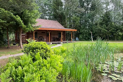 Cabina americana situata nell'Overijssel...