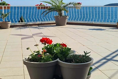 Apartments Matea - Studio with Sea View (2 Ad...