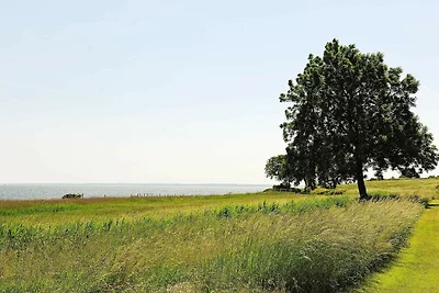 6 Personen Ferienhaus in Ebberup-By Traum